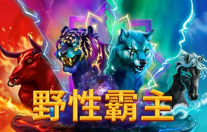 艾尚体育官网登录网址截图2